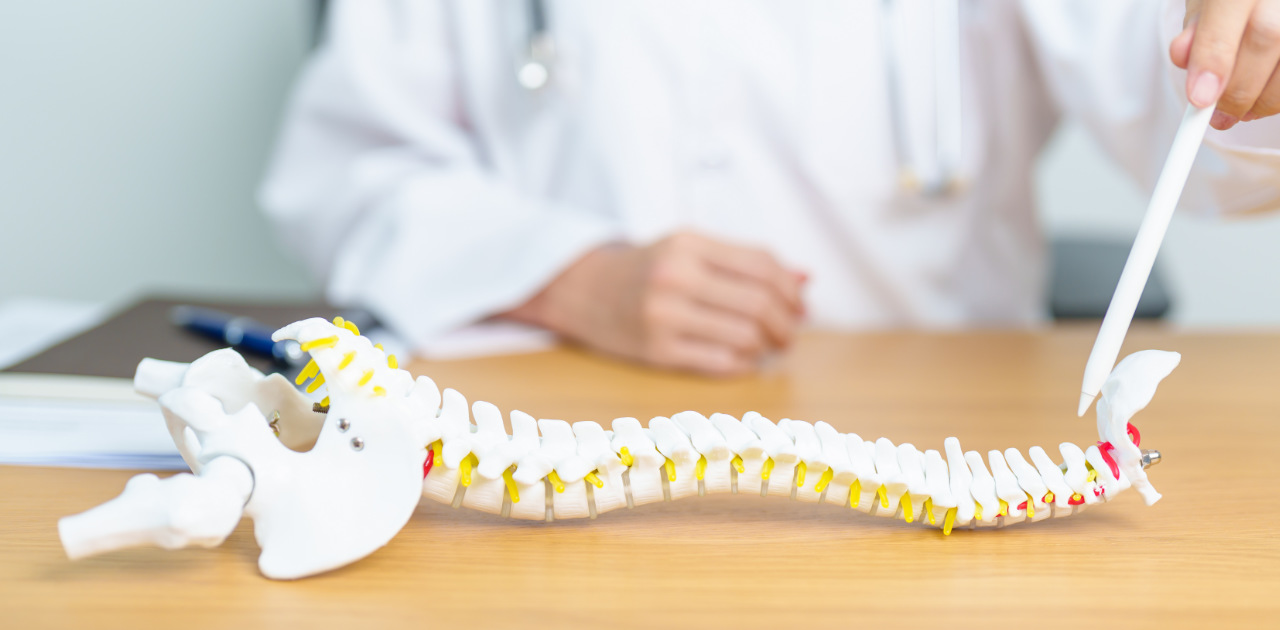 Bel Boyun Fıtıkları